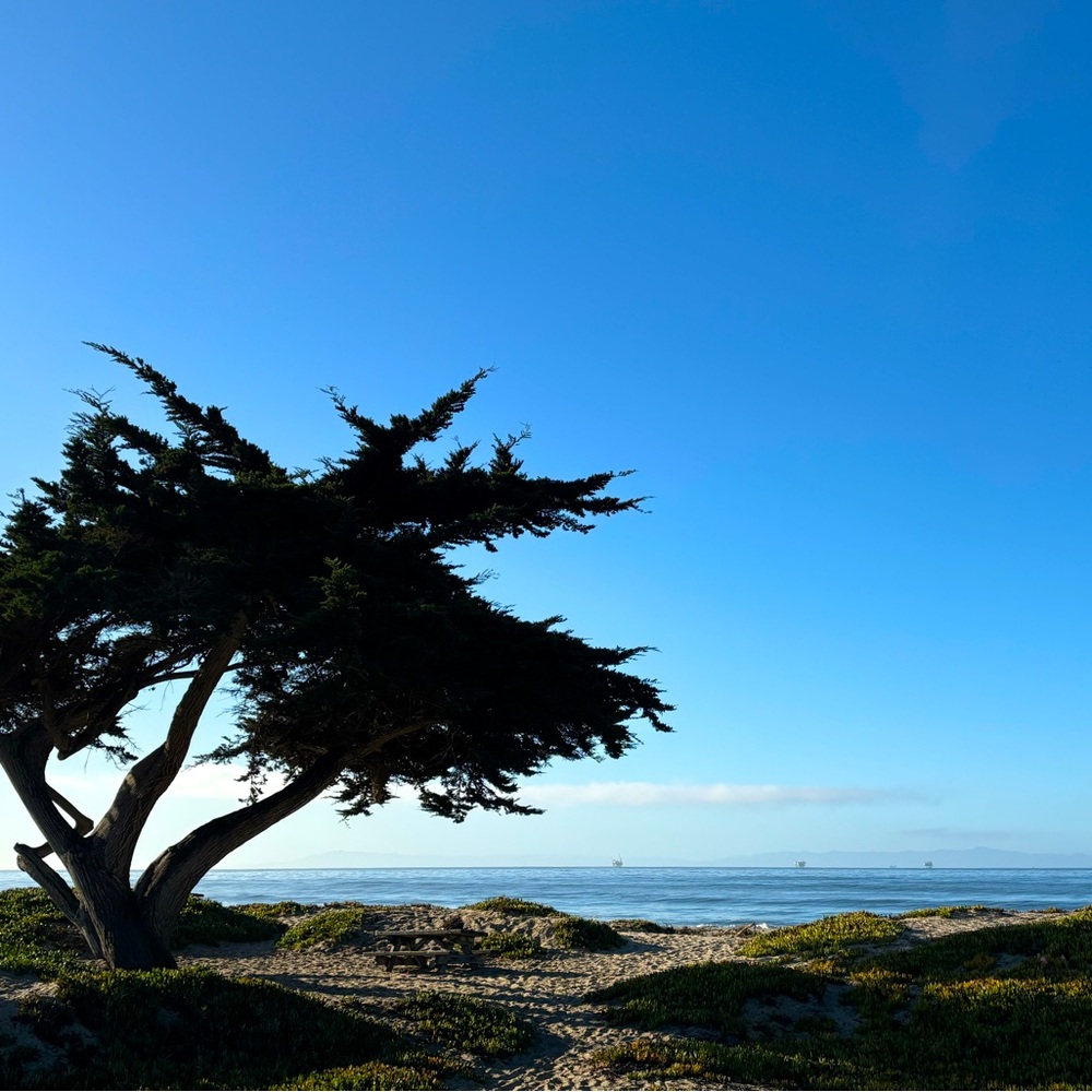 Meet your Posher, CJ